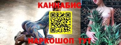 дмт Новодвинск
