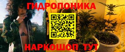 дмт Новодвинск