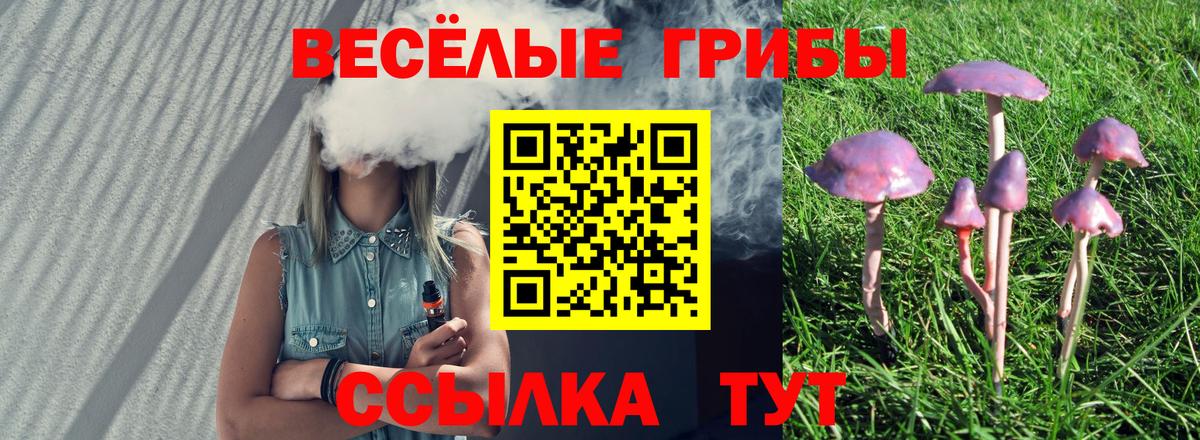 Псилоцибиновые грибы Psilocybine cubensis  Вход с VPN  Смоленск 